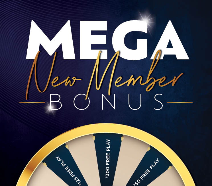 New Member Bonus